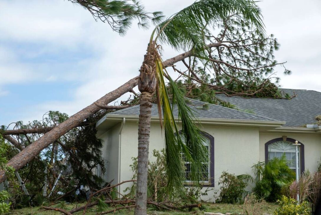 damage to florida house roof from uprooted tree af 2026 03 17 06 47 23 utc 1