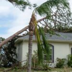 damage to florida house roof from uprooted tree af 2026 03 17 06 47 23 utc 1